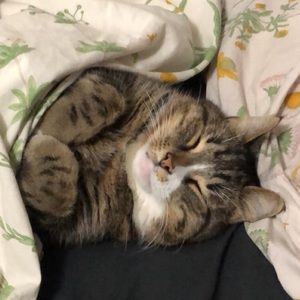 Meet your Posher, Izzabella